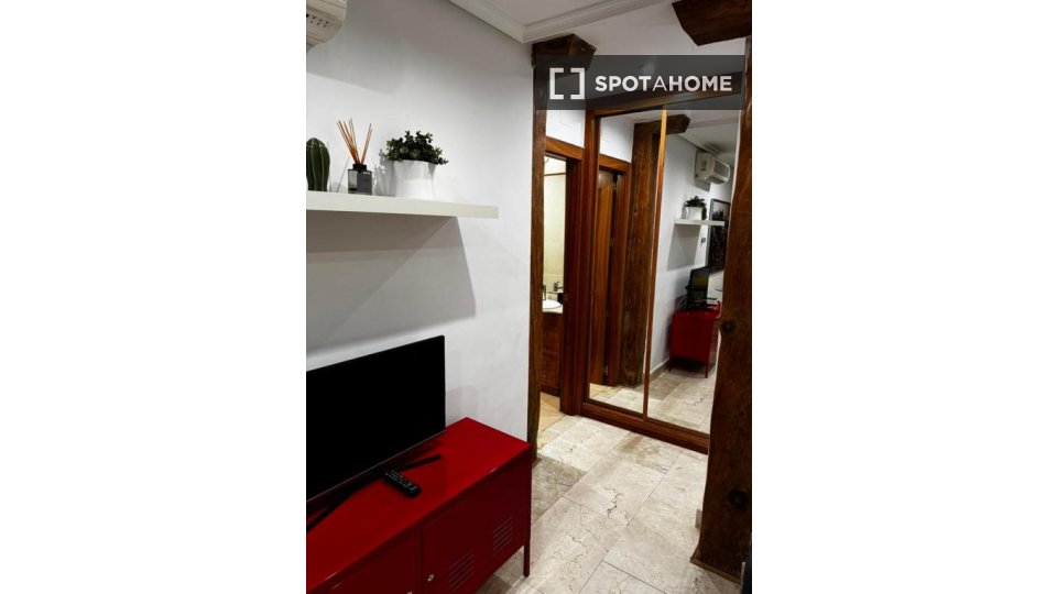 Apartment mono Madrid, 30m² — photo 11
