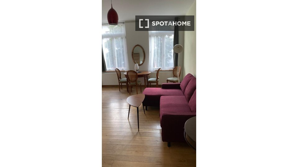Apartment mono Brussels, 45m² — photo 1