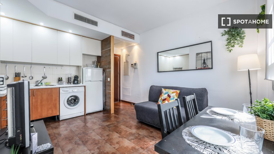 Apartment mono Madrid — photo 3
