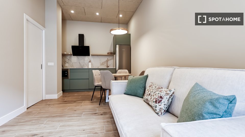 Apartment mono San_Sebastian, 38m² — photo 2
