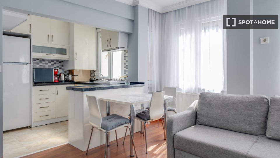 Apartment Istanbul, 1 bed — photo 14