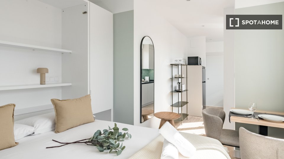 Apartment mono Madrid, 17m² — photo 5