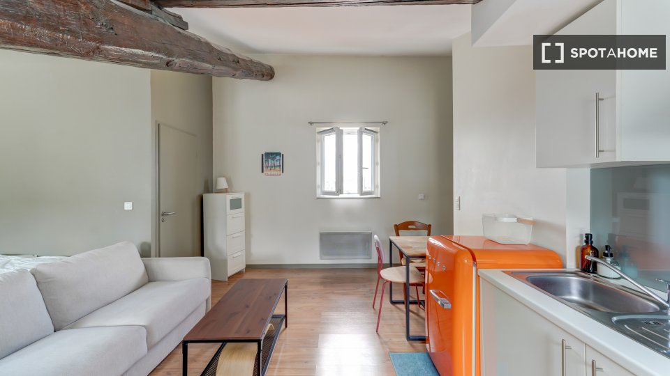 Appartamento Lione, 1 camera, 37m² — foto 5