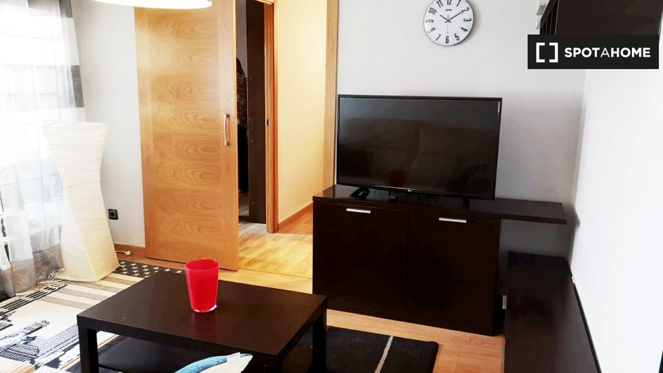 Apartment Madrid, 1 bed, 100m² — photo 10