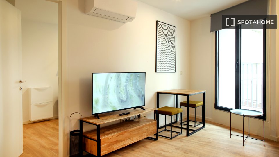 Apartment Porto, 1 bed — photo 3