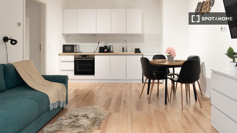 Apartment mono Budapest, 45m² — photo 26