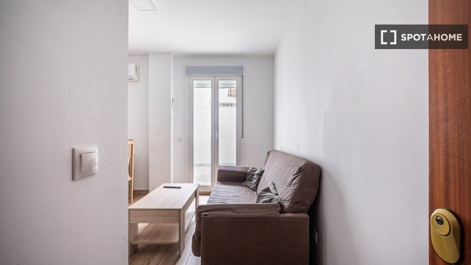 Apartment Madrid, 1 bed — photo 16
