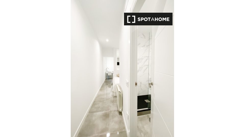 Apartment Madrid, 1 bed — photo 3