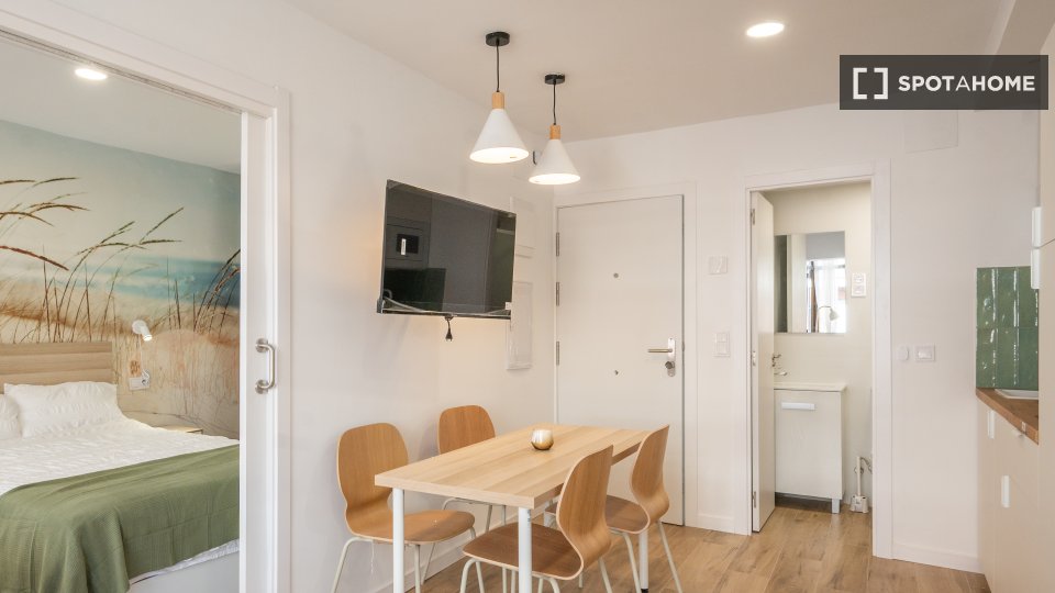 Apartment mono Madrid, 30m² — photo 15
