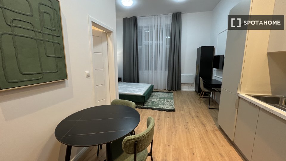 Apartment mono Budapest, 30m² — photo 1