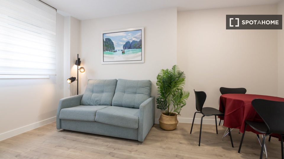 Apartment Madrid, 1 bed — photo 14