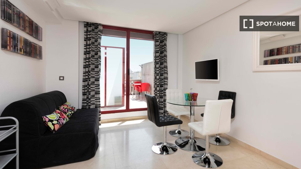 Apartment mono Madrid — photo 4