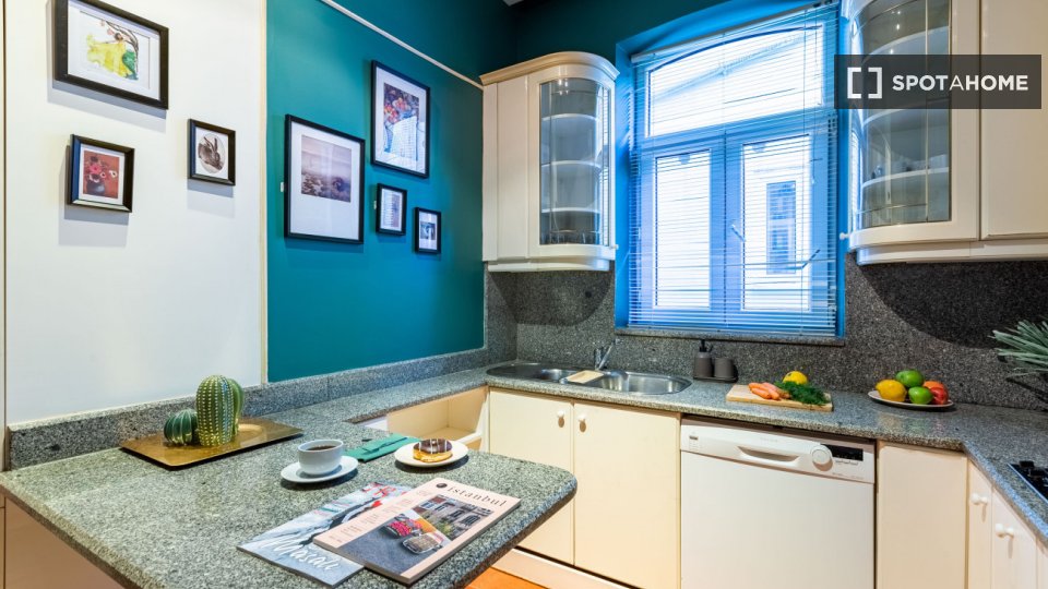 Apartment Istanbul, 1 bed — photo 5