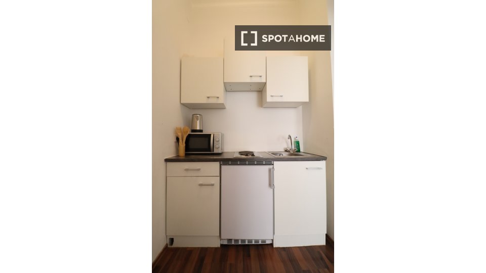 Apartment mono Vienna — photo 10