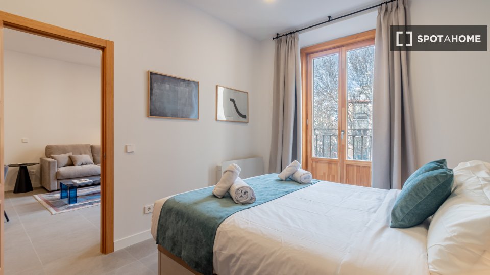 Apartment Madrid, 1 bed — photo 17