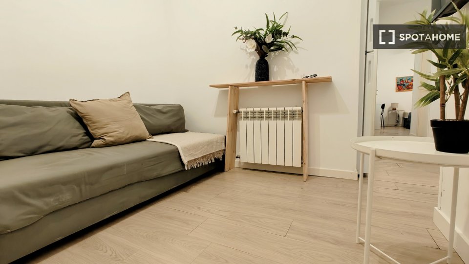 Double room Madrid, 2 beds — photo 3