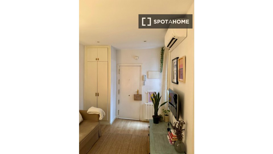 Apartment mono Madrid, 35m² — photo 4