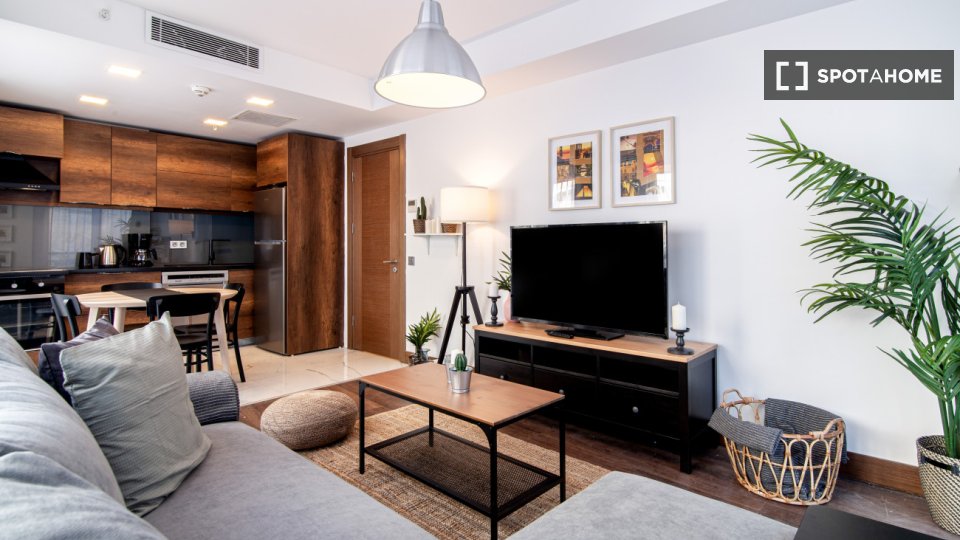 Apartment Istanbul, 1 bed — photo 10