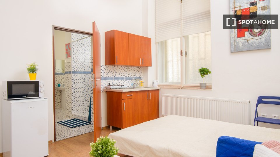 Apartment mono Prague, 35m² — photo 3