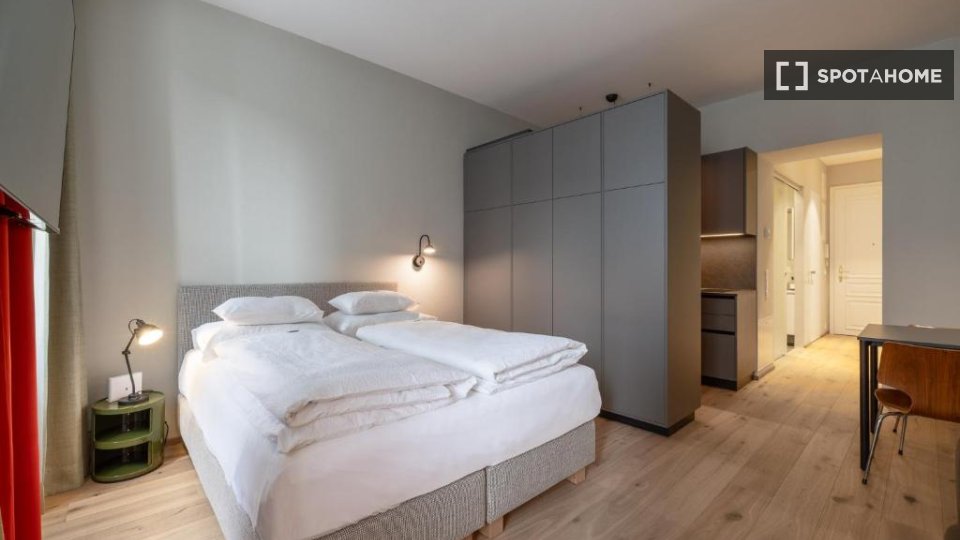 Apartment Vienna, 1 bed — photo 7