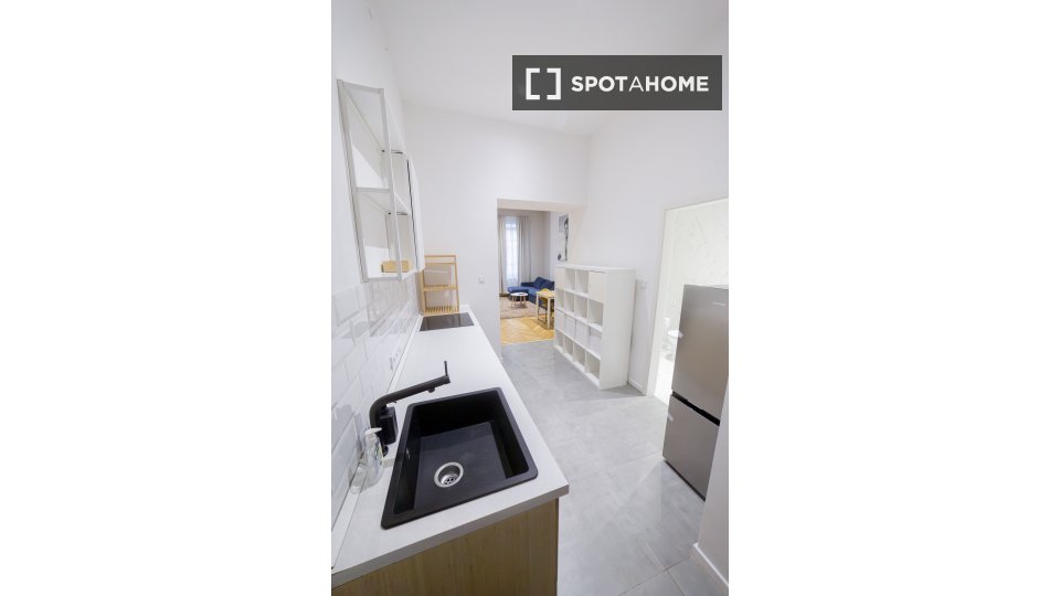 Apartment mono Budapest, 51m² — photo 16