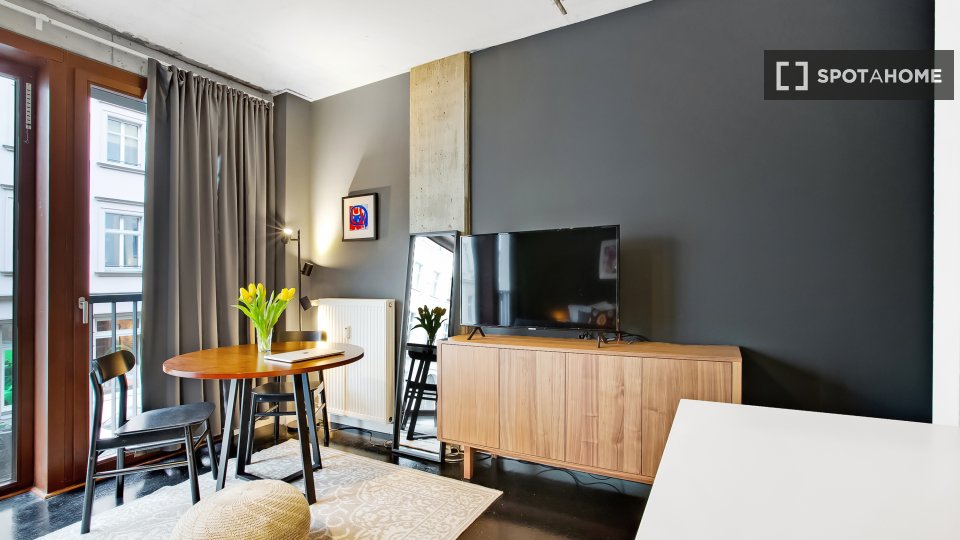 Apartment mono Berlin, 33m² — photo 9