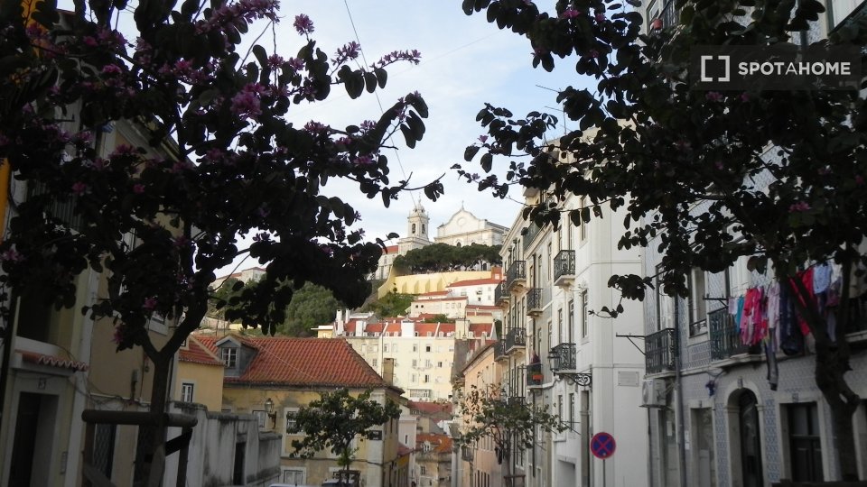 Apartment mono Lisbon, 40m² — photo 3