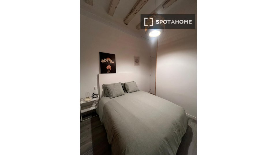 Camera doppia Barcellona, 14 camere — foto 11