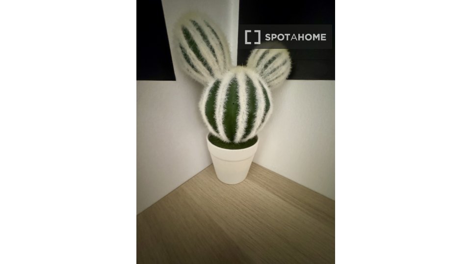 Double room Barcelona, 1 bed, 65m² — photo 5
