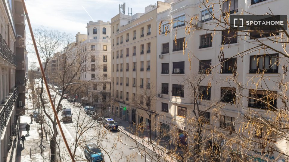 Double room Madrid, 5 beds, 120m² — photo 48