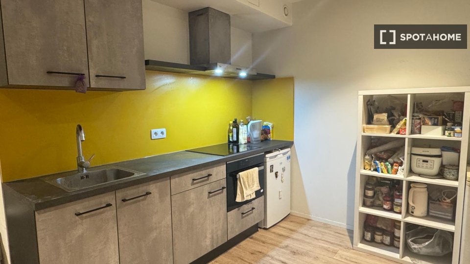 Apartment mono Brussels, 45m² — photo 7