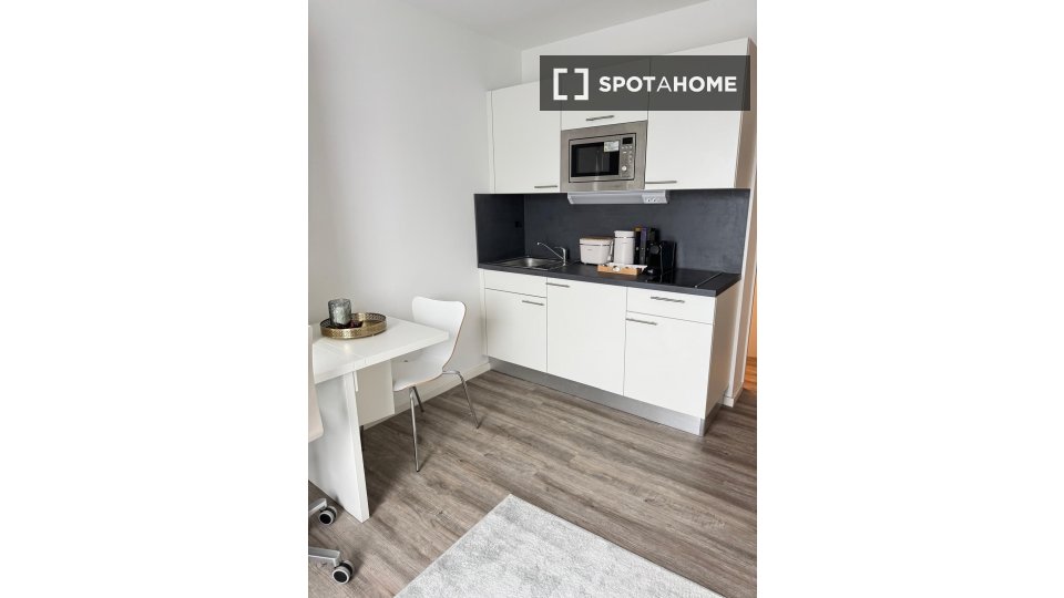 Apartment mono Dusseldorf — photo 4