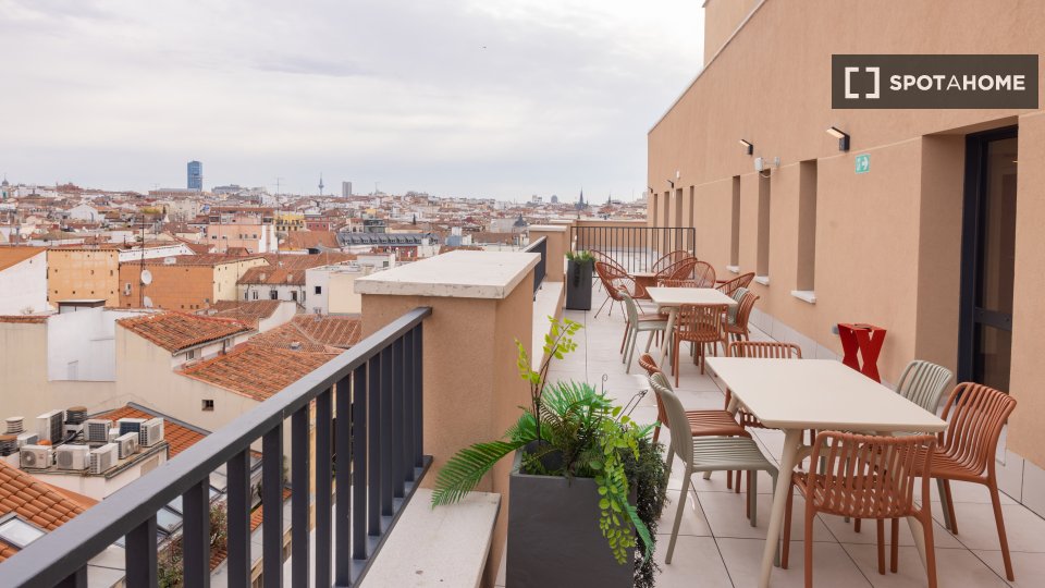 Double room Madrid, 2 beds — photo 25