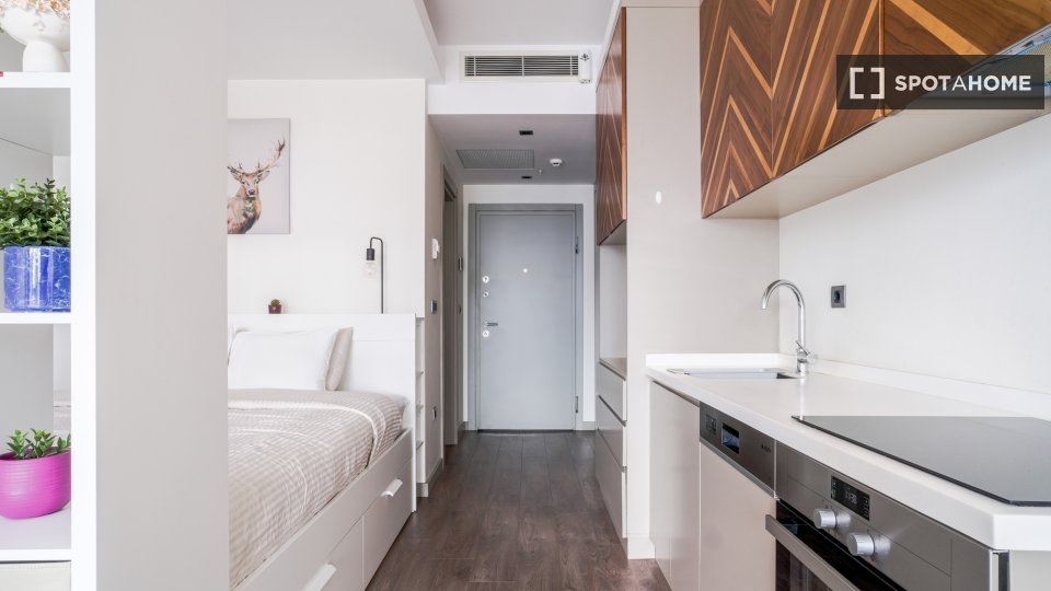 Apartment Istanbul, 1 bed — photo 12