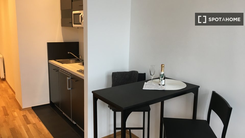 Apartment mono Vienna, 31m² — photo 1