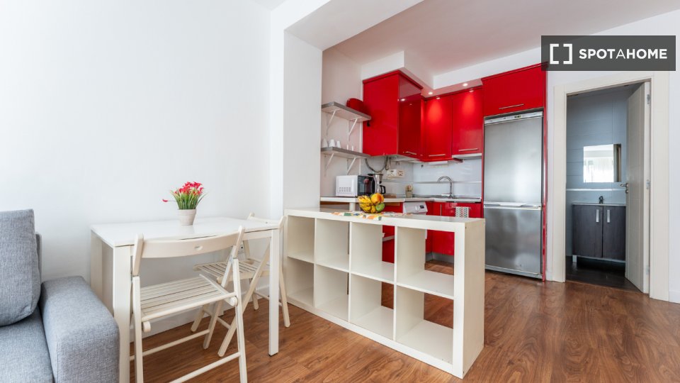 Apartment mono Malaga, 45m² — photo 14