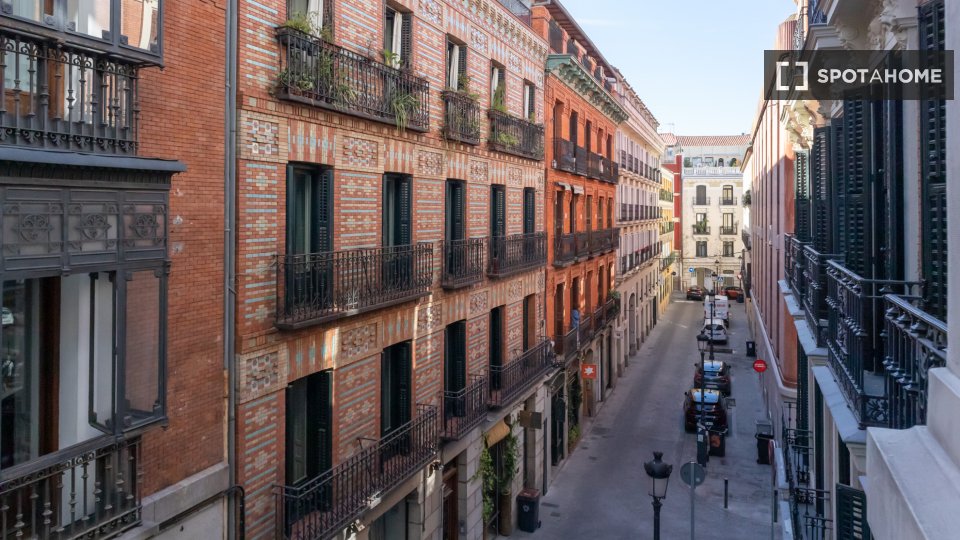 Double room Madrid, 7 beds, 160m² — photo 34