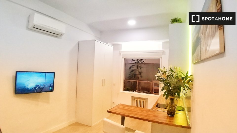 Apartment mono Madrid, 26m² — photo 5