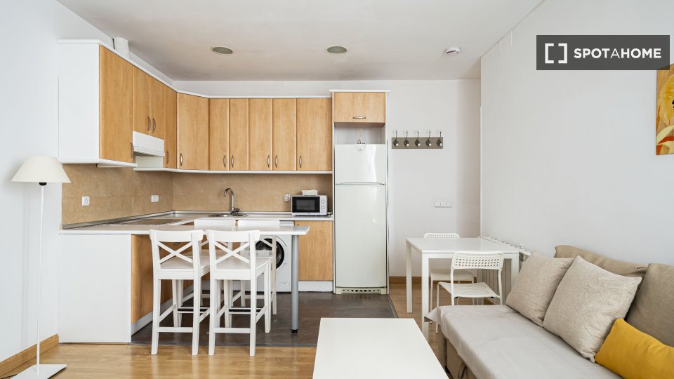 Apartment Madrid, 2 beds — photo 44