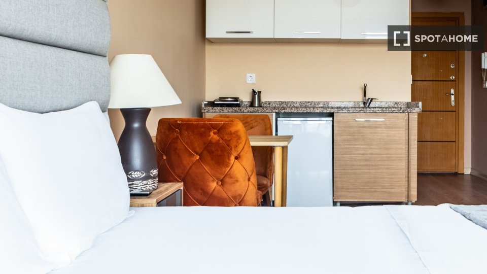 Apartment Istanbul, 1 bed — photo 5