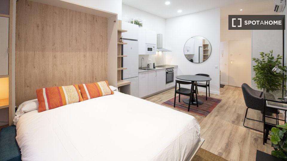 Apartment mono Madrid — photo 6