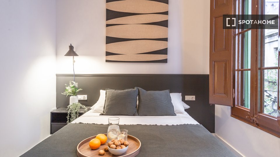 Double room Barcelona, 16 beds, 380m² — photo 14