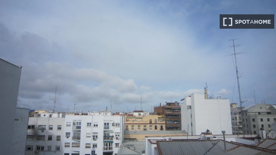 Apartment mono Madrid, 50m² — photo 14