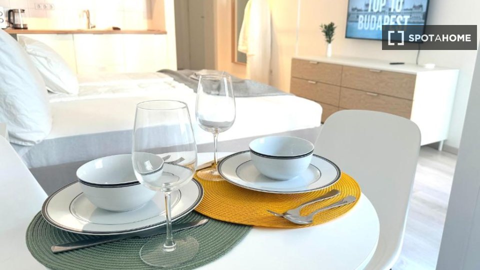 Apartment mono Budapest, 28m² — photo 18