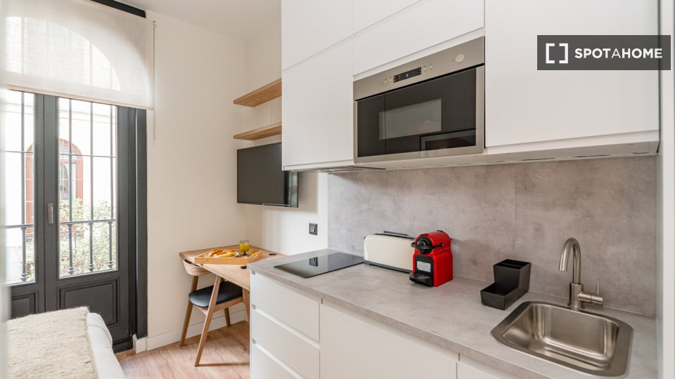 Apartment mono Madrid, 17m² — photo 3