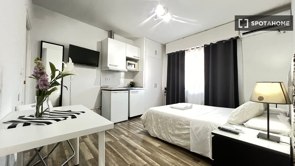 Apartment mono Madrid — photo 14