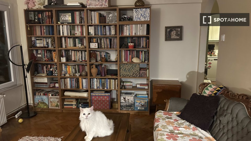 Double room Istanbul, 2 beds, 80m² — photo 6
