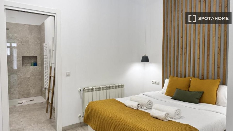 Apartment Madrid, 1 bed — photo 5