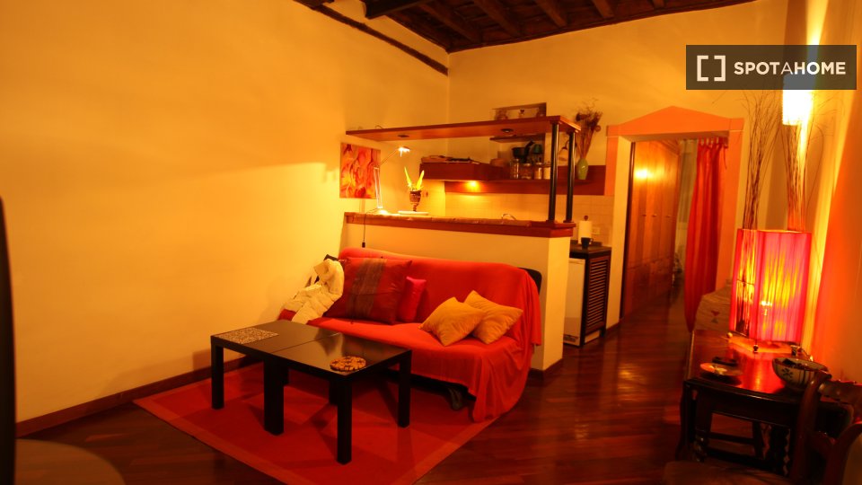 Apartment mono Rome, 45m² — photo 28