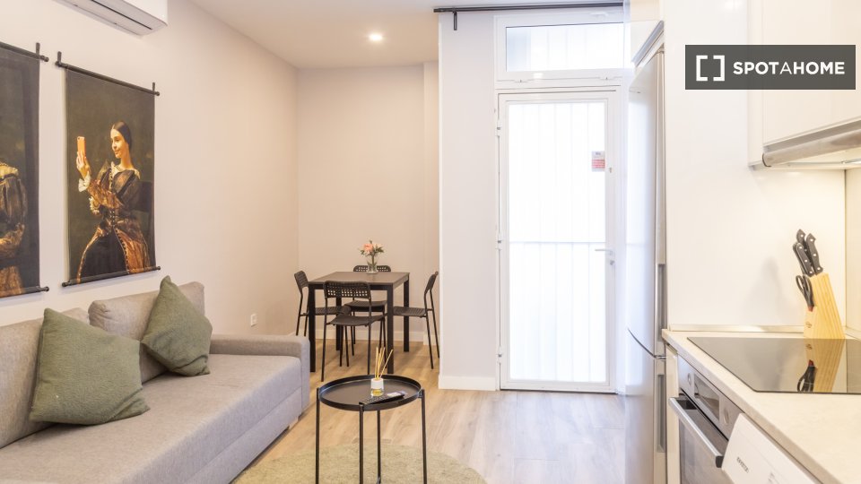 Apartment mono Madrid — photo 11